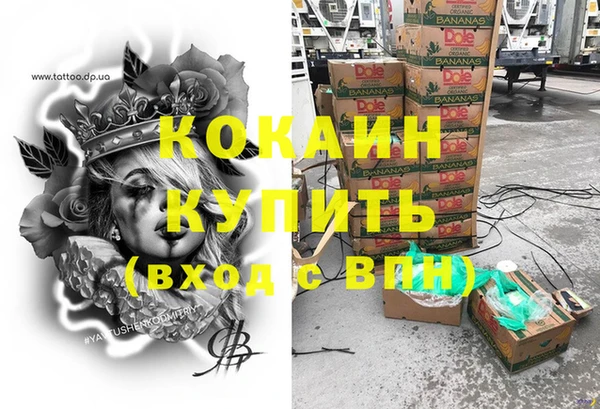 тгк Алзамай