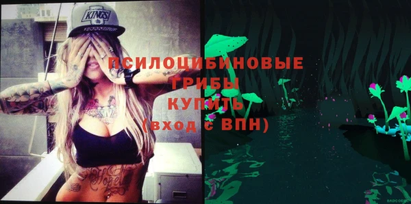 тгк Алзамай