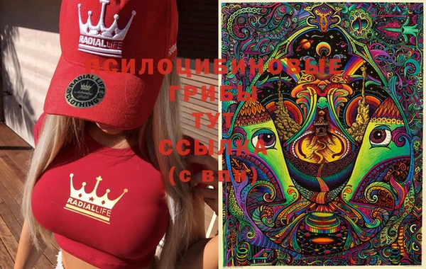 тгк Алзамай