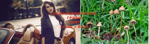 дживик Абаза