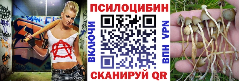 Галлюциногенные грибы мицелий  где продают   Темрюк 