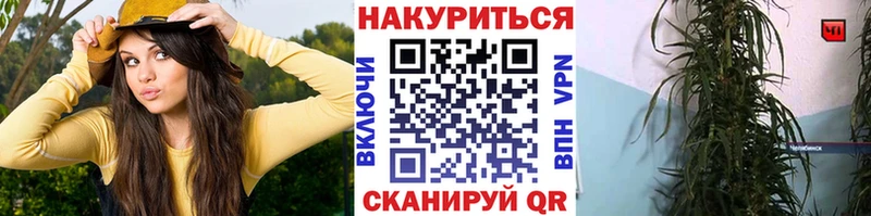 Бошки Шишки OG Kush Темрюк